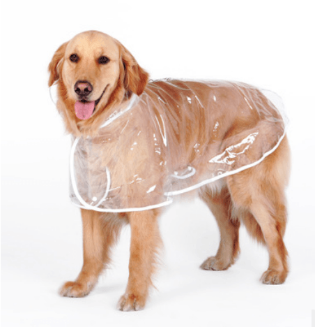 Transparent Waterproof Raincoat For Medium-Sized Dogs-5